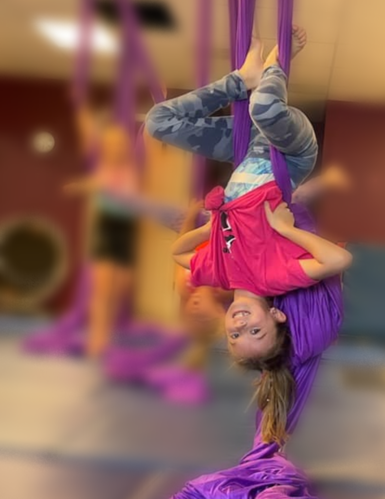 LA Dance Center HOME Dance & Gymnastics [Florissant & O'Fallon]